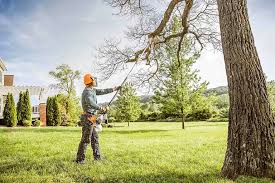 Karns, TN Tree Care Company